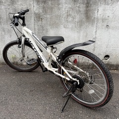 メテオストリームG ホワイト 20型ジュニアキッズ子供用自転車の画像