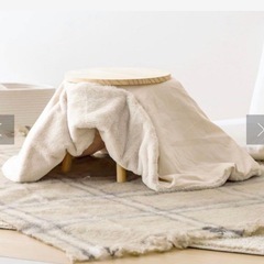 ✨即完売の✨3coins ペット用こたつの画像