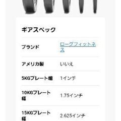 ROGUEFITNESS★バンパープレート10kg2枚の画像