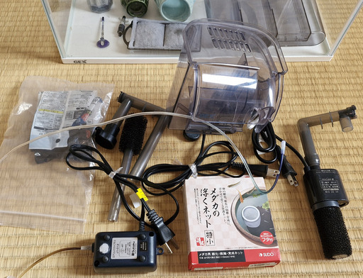ウーパールーパー Case
