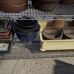 植木鉢　盆栽鉢の画像