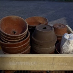植木鉢　盆栽鉢の画像