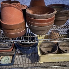 植木鉢　盆栽鉢の画像