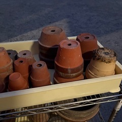 植木鉢　盆栽鉢の画像