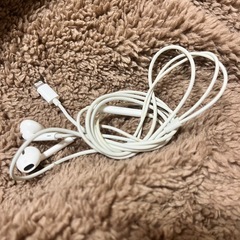 【ジャンク】Apple 正規品有線イヤホンの画像