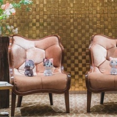 猫ちゃんぬいぐるみ(3体)の画像