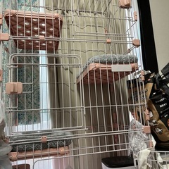 ほぼ未使用キャットケージ3段と爪研ぎの画像