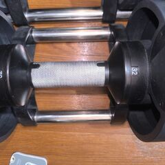 可変式ダンベル32kg×2個（4kg刻み）+ トレーニングベンチセット 錦糸町の画像