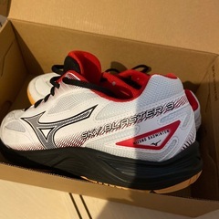 (美品)mizuno サイズ26.5の画像