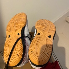 (美品)mizuno サイズ26.5の画像