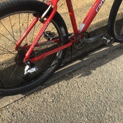 MTB キャノンデール の画像