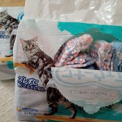 猫用紙おむつの画像