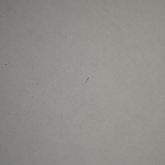 ラウンドテーブルの画像