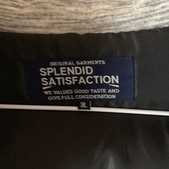 ベスト　シミあり　3Lの画像