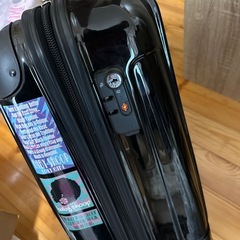 キャリーケース・飛行機持ち込み可の画像
