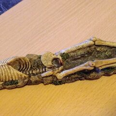 骸骨　お香立て　ドクロの画像