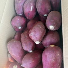 さつまいも　１０ｋｇの画像