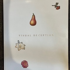 【だまし絵の秘密】アルチンボルド他 錯視の図録 画集の画像