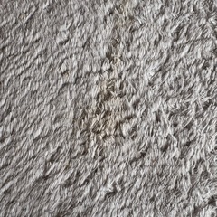 コストコ　フランネルラグの画像