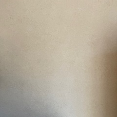 フロアマットと壁紙　DIYの画像