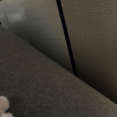 6畳 ウッドカーペットの画像