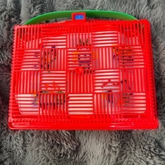 モザイク遊び　知育玩具の画像