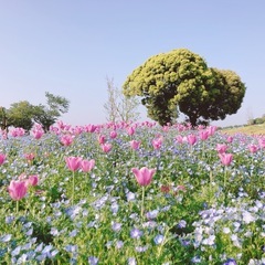 お悩み相談や自己分析したい方募集します📕