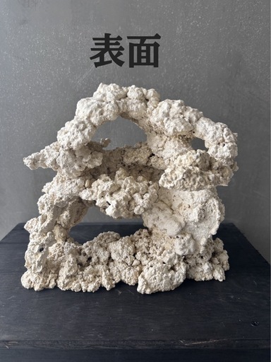 #2 人工ライブロック30cm【一点物】 ①【一点もの】30cm人工ライブロック♪