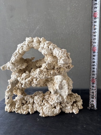 ①【一点もの】30cm人工ライブロック♪