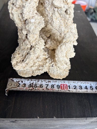 2 人工ライブロック30cm【一点物】