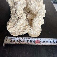 ①【一点もの】30cm人工ライブロック♪の画像