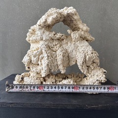 ①【一点もの】30cm人工ライブロック♪の画像