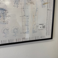 人体経絡経穴図の画像