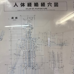 人体経絡経穴図の画像