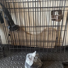 アイリスオーヤマキャットタワー、猫ケージ収納付きの画像