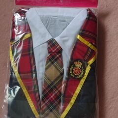  AKB風 コスプレ衣装 アイドル制服 ユニットBハロウィンコスチュームの画像