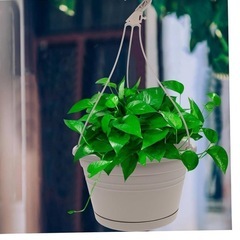 新品未使用✨️ 植木鉢 吊り下げ ハンギングプランター 3個 黒 北欧 屋内 屋外 ベランダ 排水穴付き 植木鉢バスケット オフィス ガーデニング 園芸 インテリア (Grey)の画像