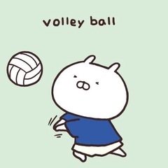 🏐新規バレーボールチーム🏐