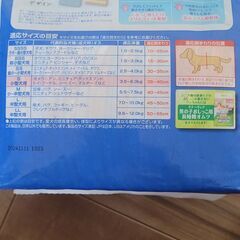 小型犬 オス マナーウェアsと腹巻の画像