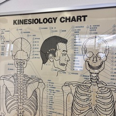 キネシオロジーチャートの画像