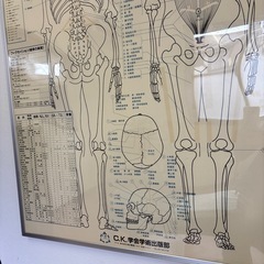 キネシオロジーチャートの画像