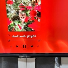 【一旦受付停止します】SHARP テレビ　AQUOS　45V型　2019年製　　　の画像