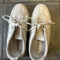 SHE&INスニカーの画像