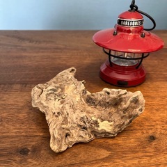 4 ペラペラお皿のマーブル柄　流木、天然物、インテリア、オブジェの画像