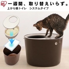猫トイレの画像