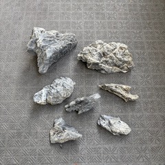 龍王石 7個/木化石？ 1個の画像