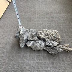 龍王石 7個/木化石？ 1個の画像