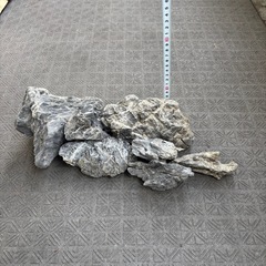 龍王石 7個/木化石？ 1個の画像