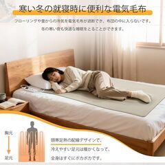 【受け渡し決定】MYCARBON 電気毛布 掛け敷き兼用 6段階温度調節 切り忘れ防止タイマー付き 速暖 75w 160×80cm の画像