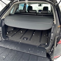 ルノーコレオス4WD中身はエクストレイルの画像